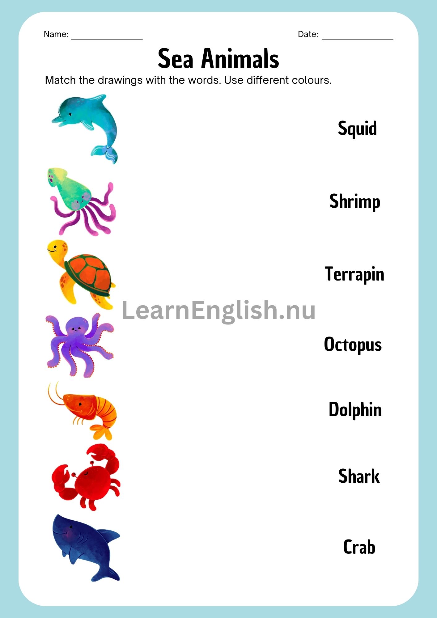 اسماء الحيوانات البحرية بالانجليزي بالصور والصوت